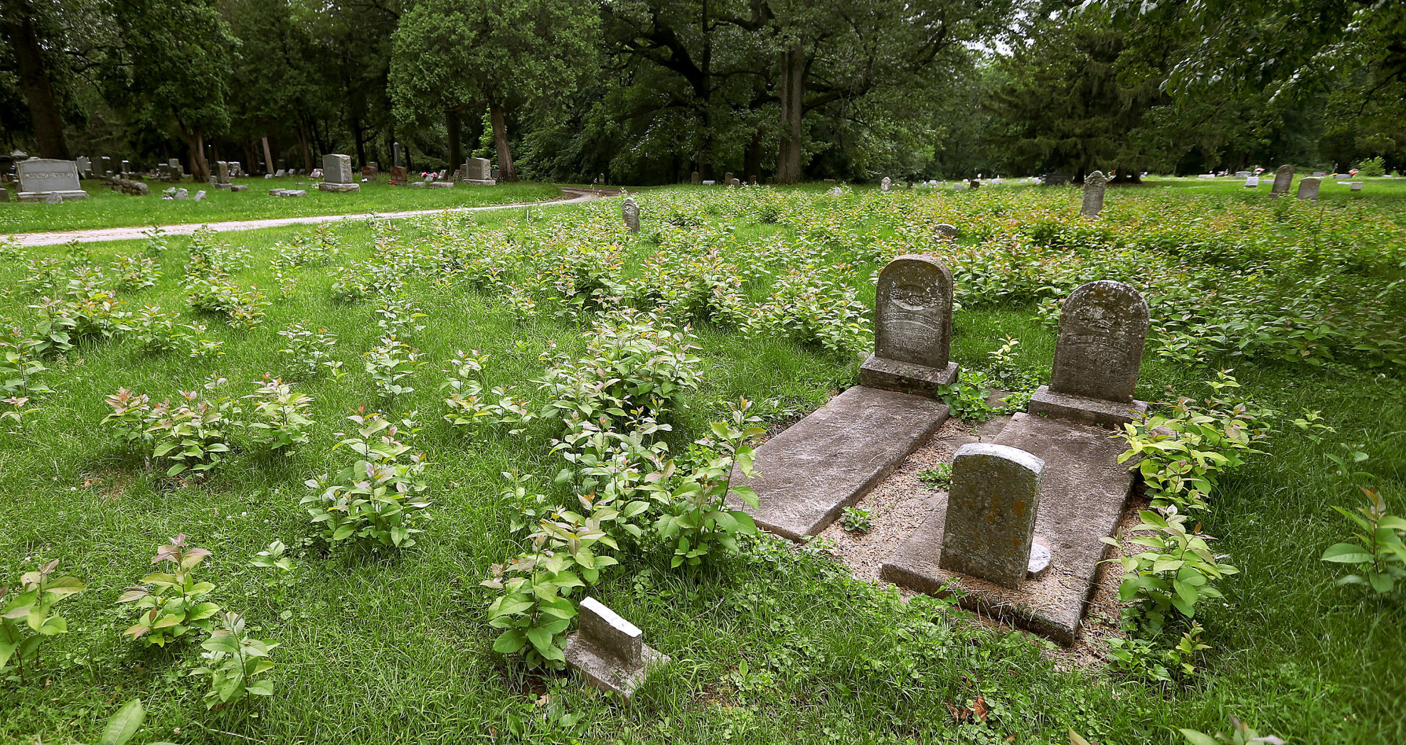 Fairmount Cemetery 16